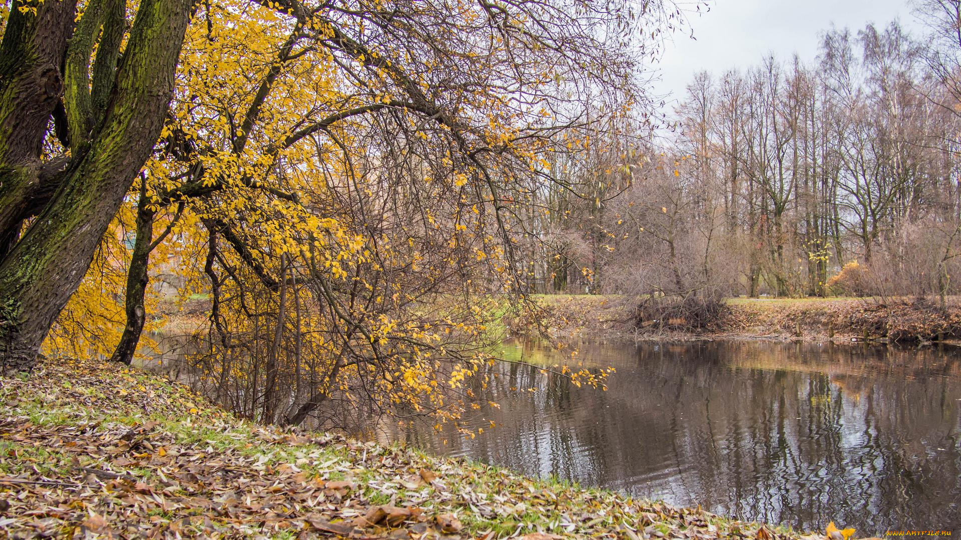 , , ekateringofka-river-saint-petersburg